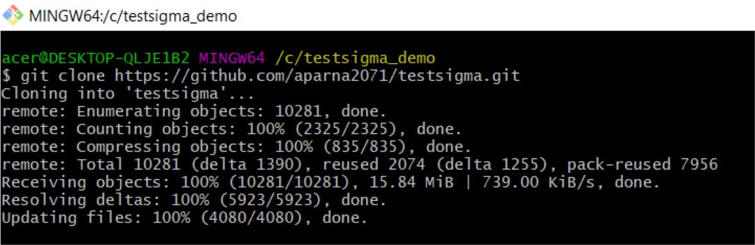 run command to clone the project