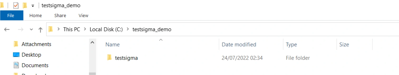 testsigma code in your local machine