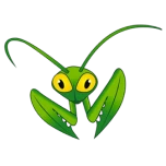 Mantis